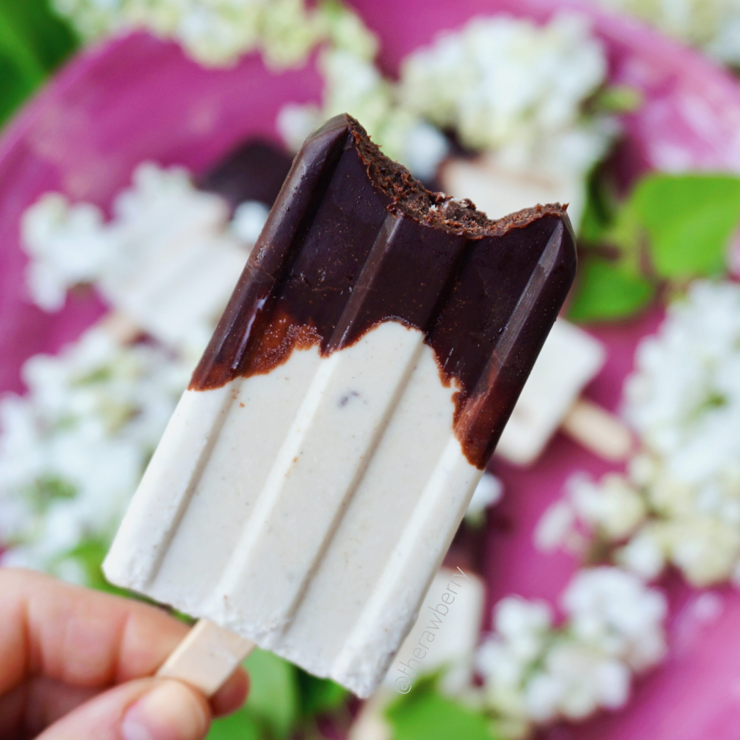 chocolate, schokolade, Popsicles, popsicle, eis, eis am Stilel, vegan, zuckerfrei, sugar free, no sugar, kein Zucker, lecker, delicious, gesund, healthy, summer, Sommer, repeat, eis selber machen, how to make ice cream, gluten free, gluten frei, lieder, elderflower, green, grün, white, weis, pink, foodporn,
