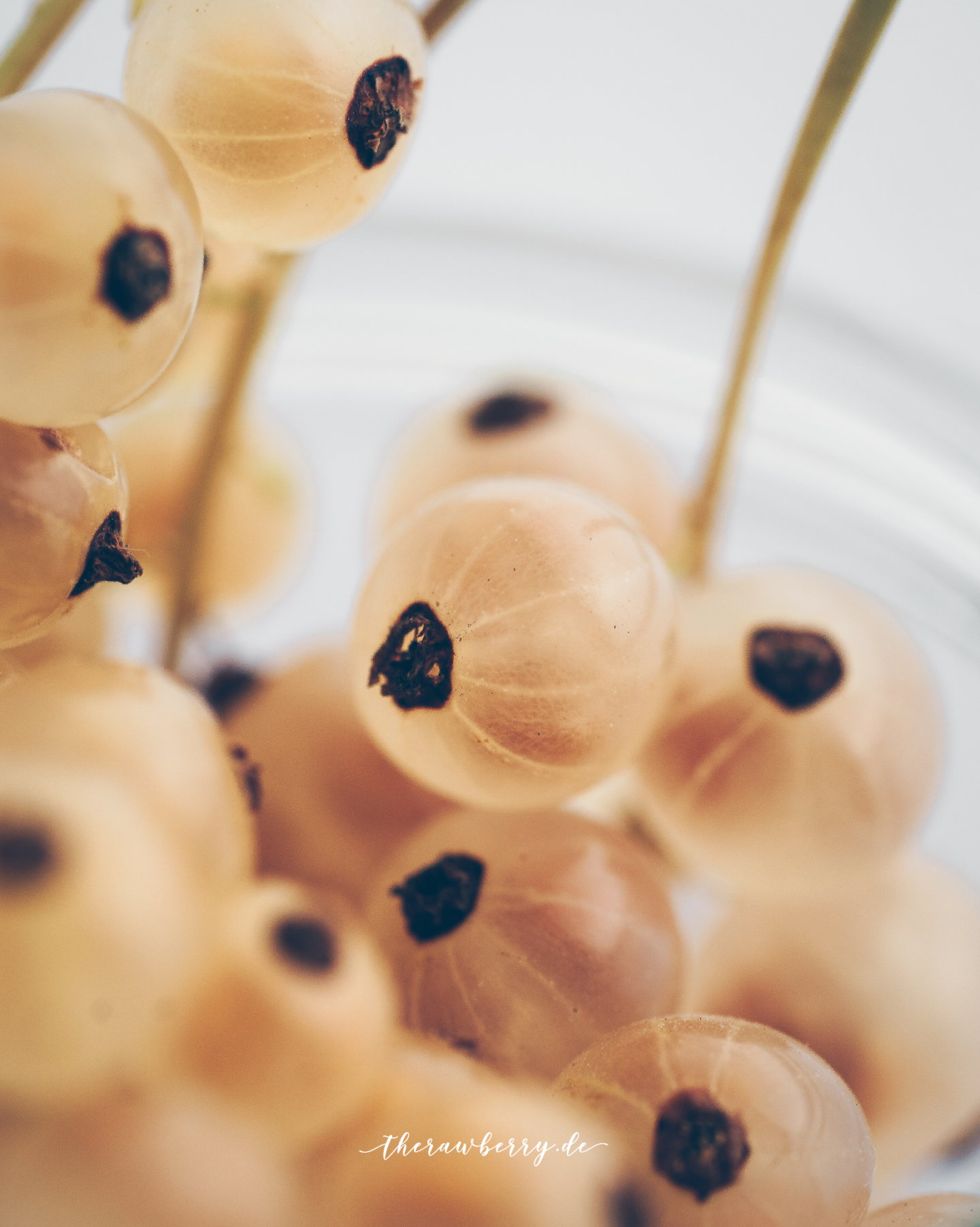 strawberry, tiramisu, erdbeeren, dessert, nachtisch, jars, glutenfree, vegan, glutenfrei, einfach, simple, delicious, lecker, healthy, berries, beret, erdbeeren, strawberries, white currants, weiße Johannisbeeren, rezept, recipe, diet